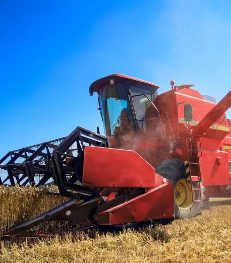 Agriculture