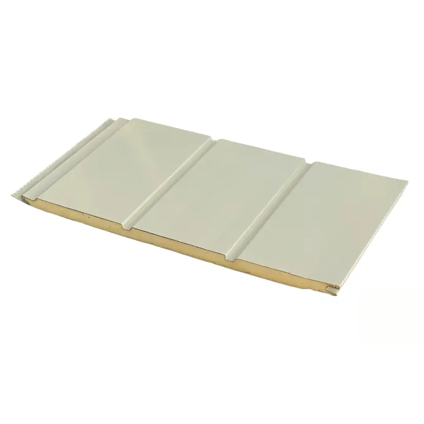 China High Efficiency Foam Sandwich Panel for Exterior Building Supplier, Exporter