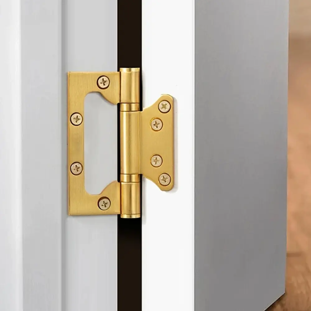 Premium door hinge detail 2