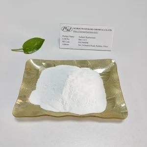Best Vegan Food Grade Sodium Hyaluronate
