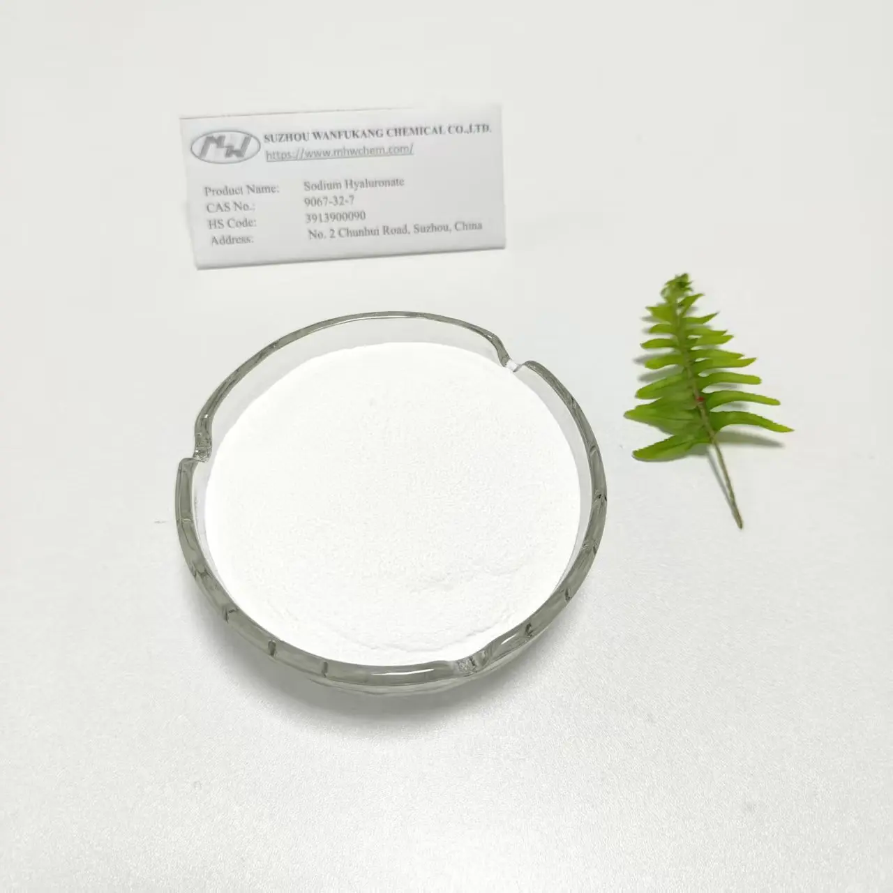 Buy Cosmetic Ingredient Sodium Hyaluronate Powder Anti-wrinkle Manufacturers, Exporter