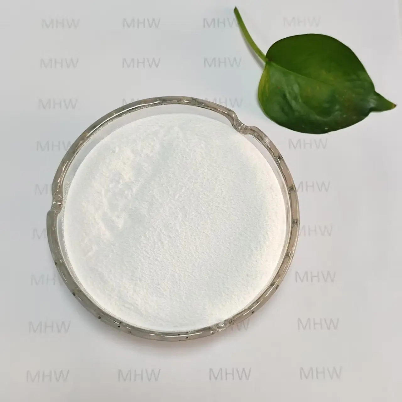 Best Food Grade Low Molecular Weight Sodium Hyaluronate Manufacturers, Exporter