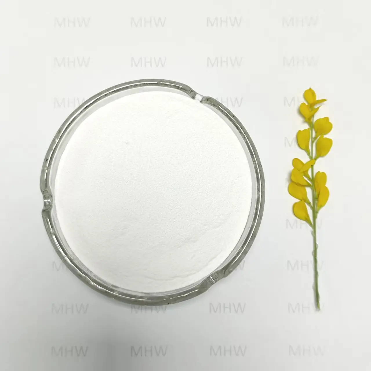 China Food Grade Hyaluronic Acid Powder for Oral Supplements Company, Exporter