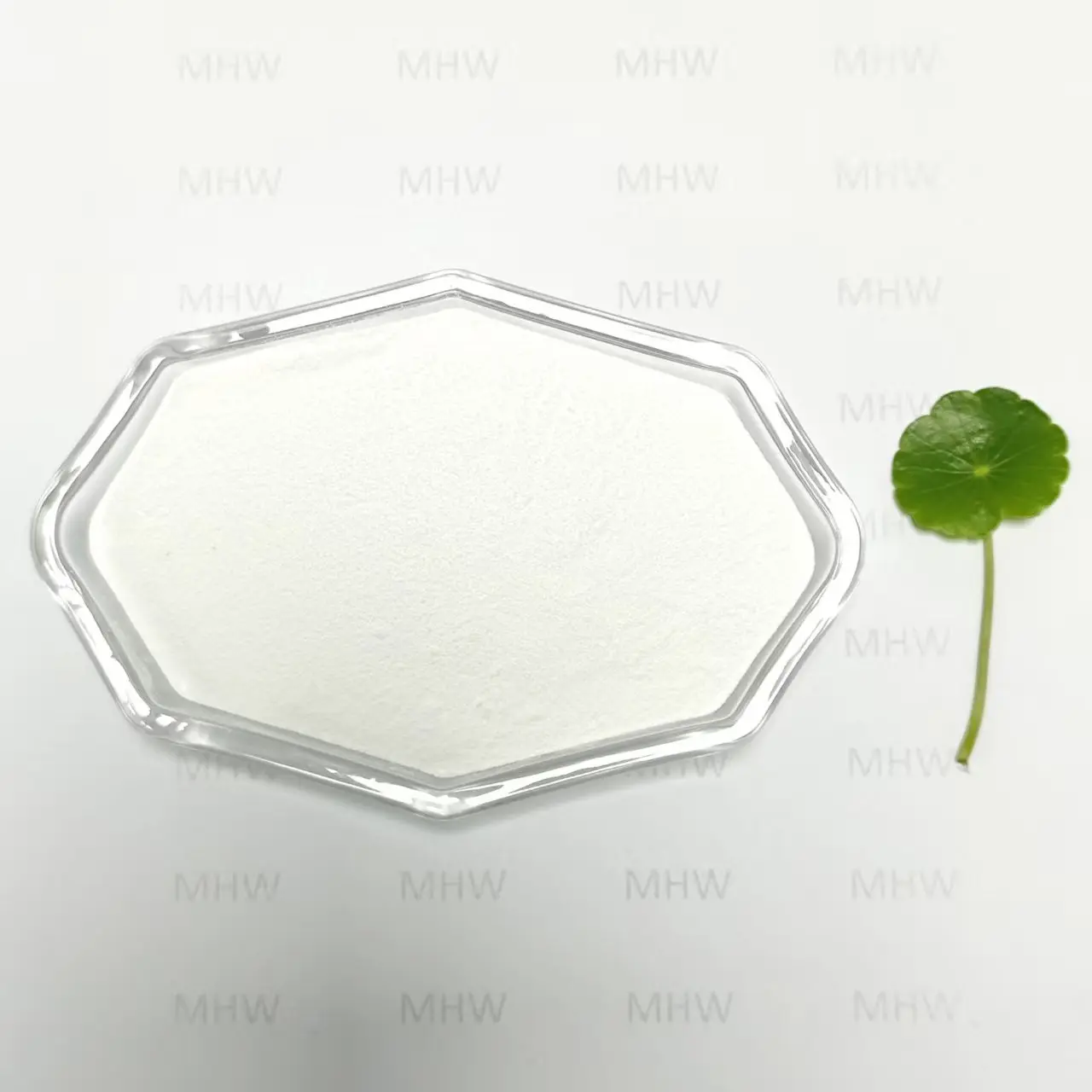 High-Quality Cosmetic Ingredient Hyaluronic Acid Powder CAS 9004-61-9 Suppliers, Service