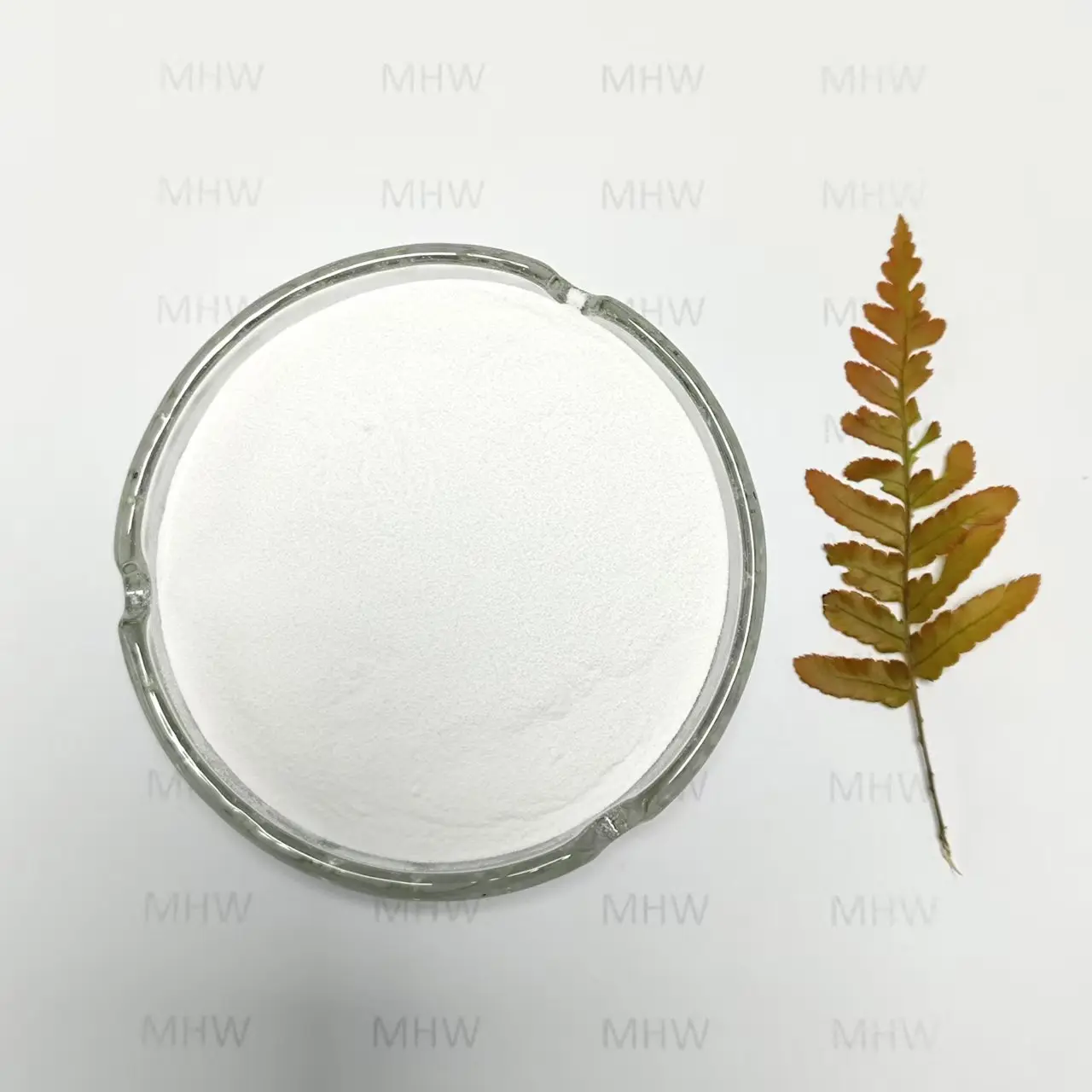 Famous Hyaluronic Acid Powder Food Grade CAS No. 9004-61-9 Company, Product