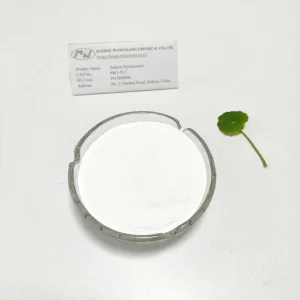 Cosmetic Grade Sodium Hyaluronate Powder Vegan Friendly