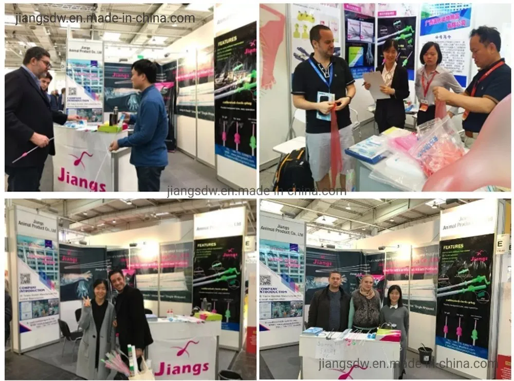 Exposição
