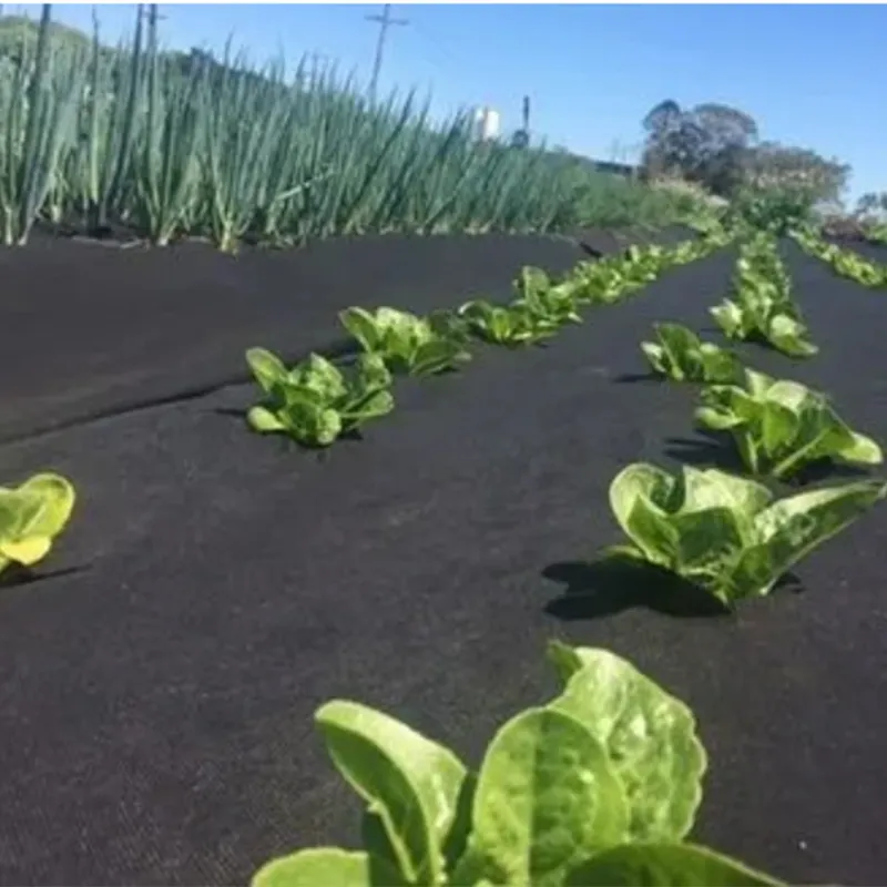 Garden Fabric Detail 2
