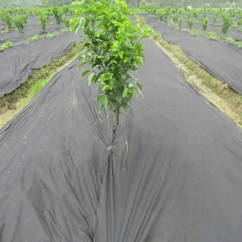 Garden Fabric Detail 3