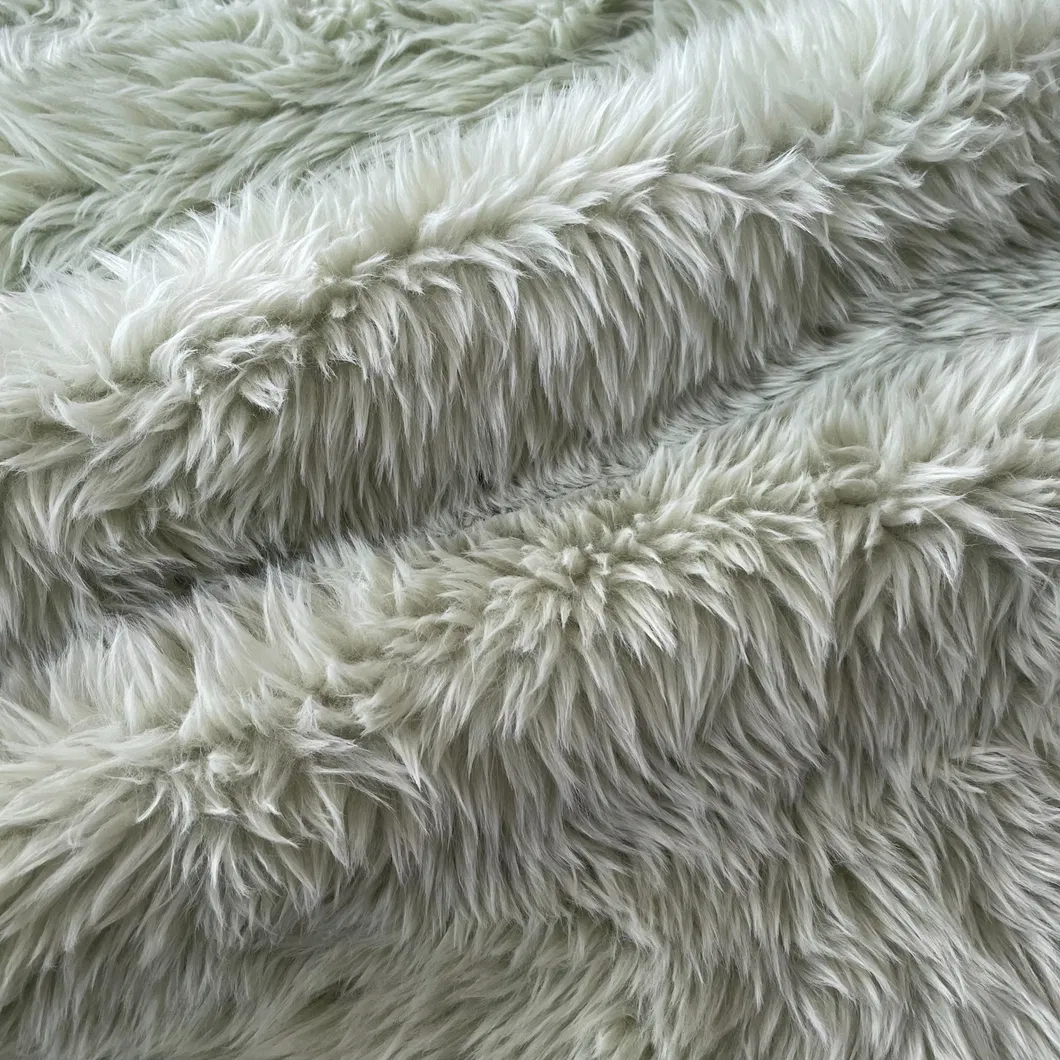 Comprehensive Collection