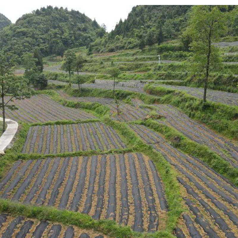 Heavy-Duty 100G/M2 Weather-Resistant Garden Fabric for Outdoor Use