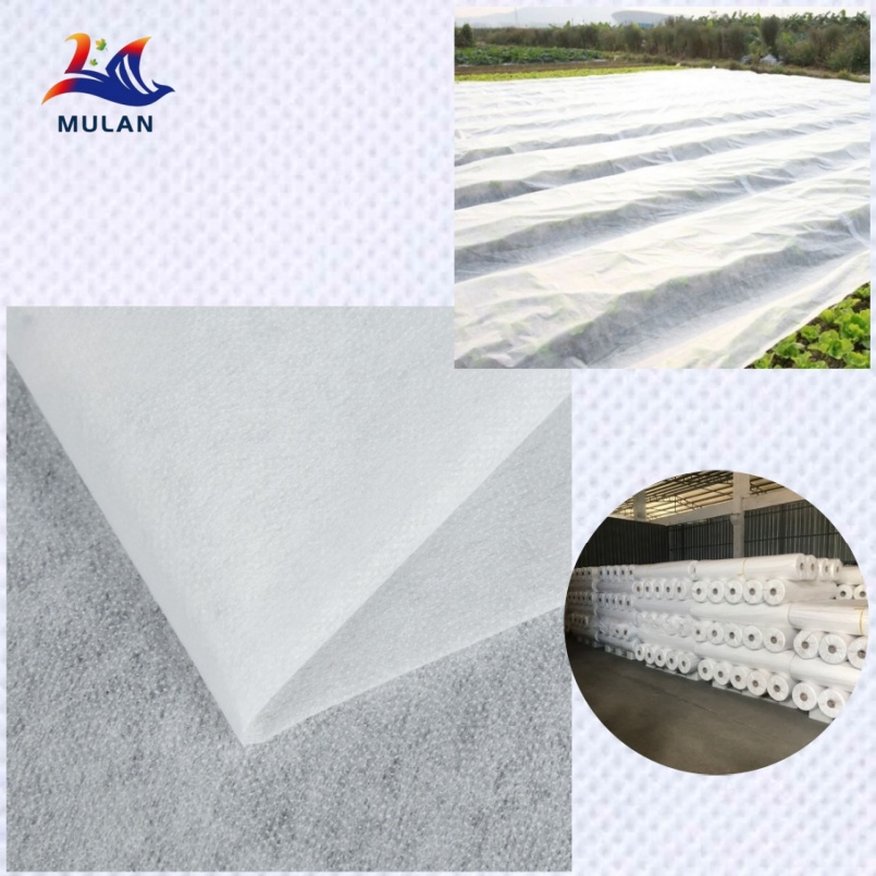 Weather-Resistant PP Spunbond Nonwoven Fabric for Outdoor Agriculture