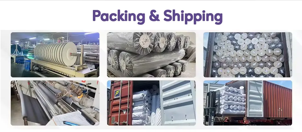 Shipping Logistics