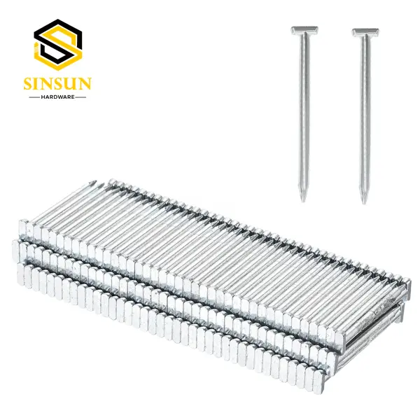 OEM High-Performance Concrete T Nails from China Suppliers - Durable Factory-Direct Zinc Coated Nails Suppliers, Exporter