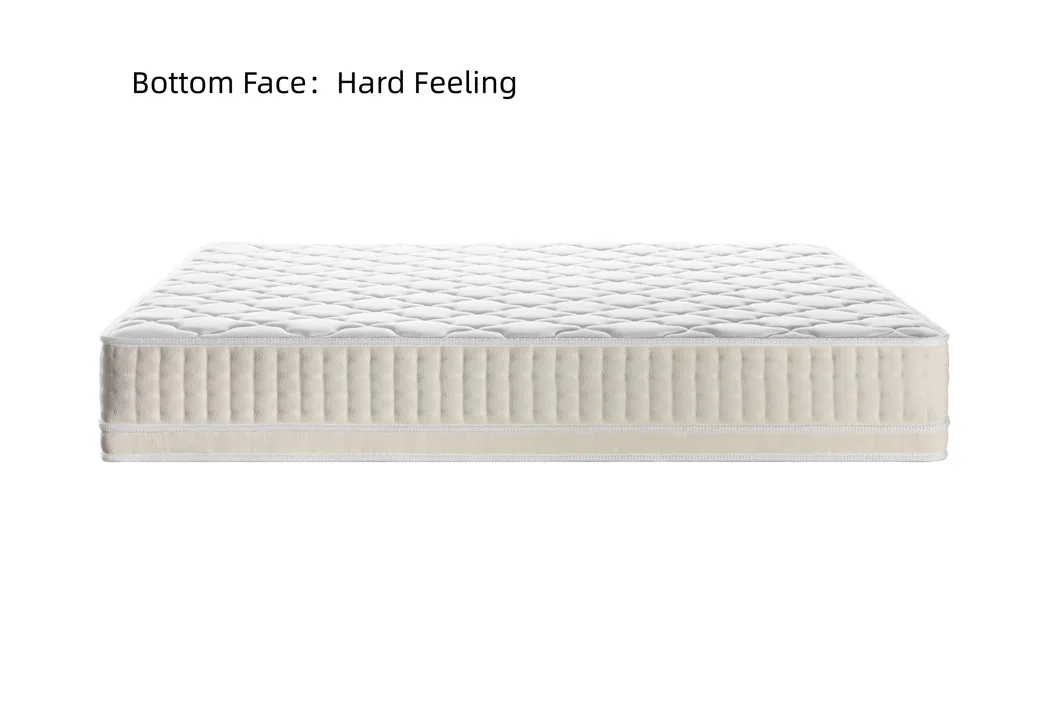 Low Price Resilient Breathable Sleeping Comfort Spring Rolled Mattress for Hotel