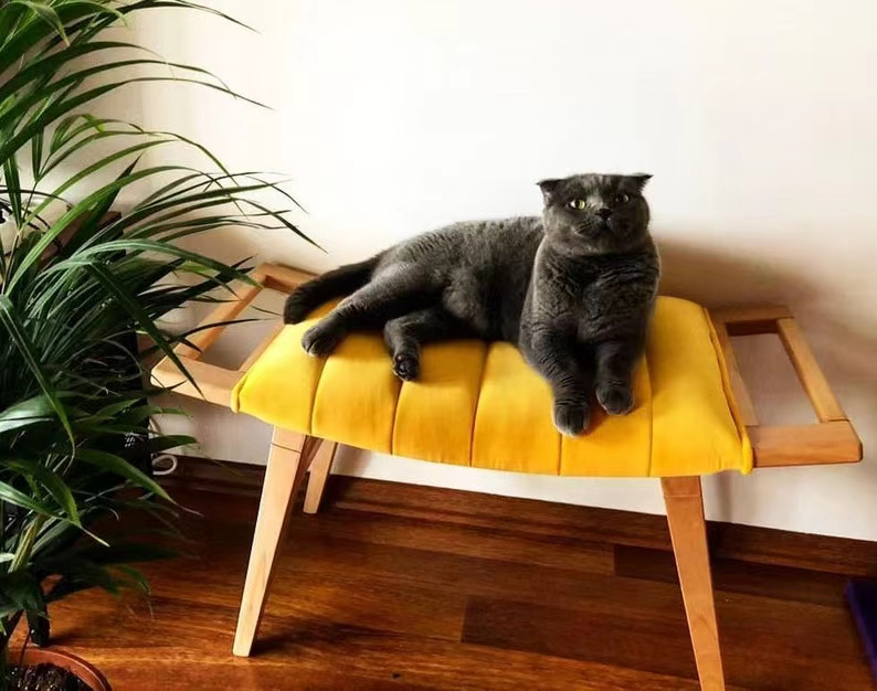 New Arrival Modern Upholstered Bedroom Ottoman Stool Entryway Stool Make up Chair Wooden Velvet Bench