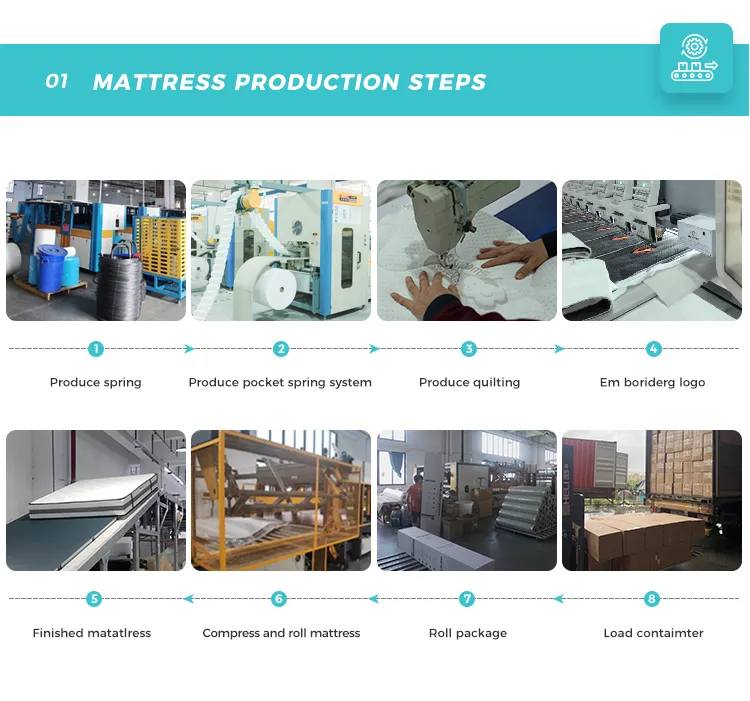 Company Profile Facility Details