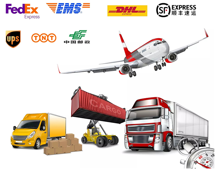 Shipping Container Logistics