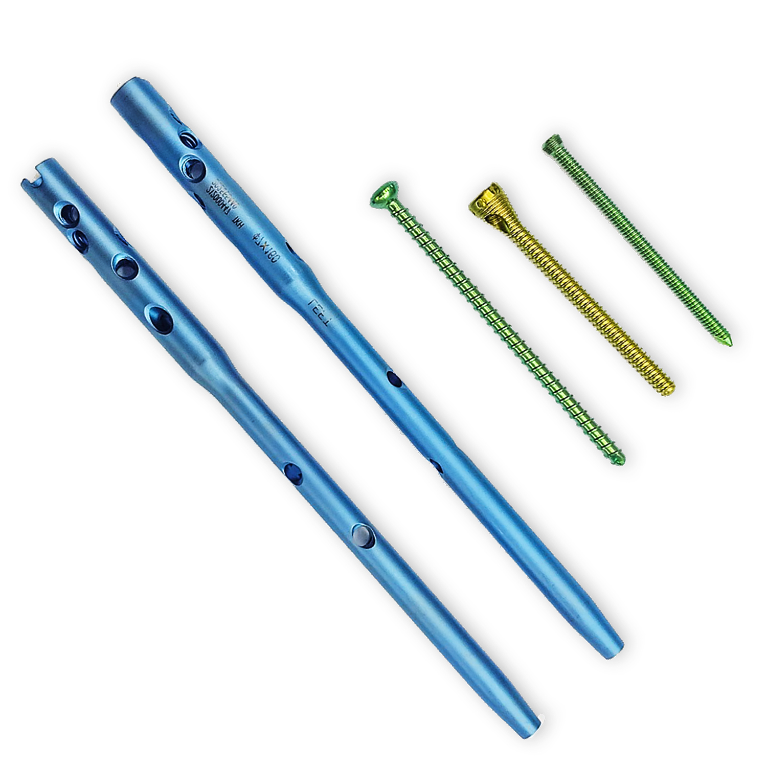 Orthopedic Instrument Detail 1
