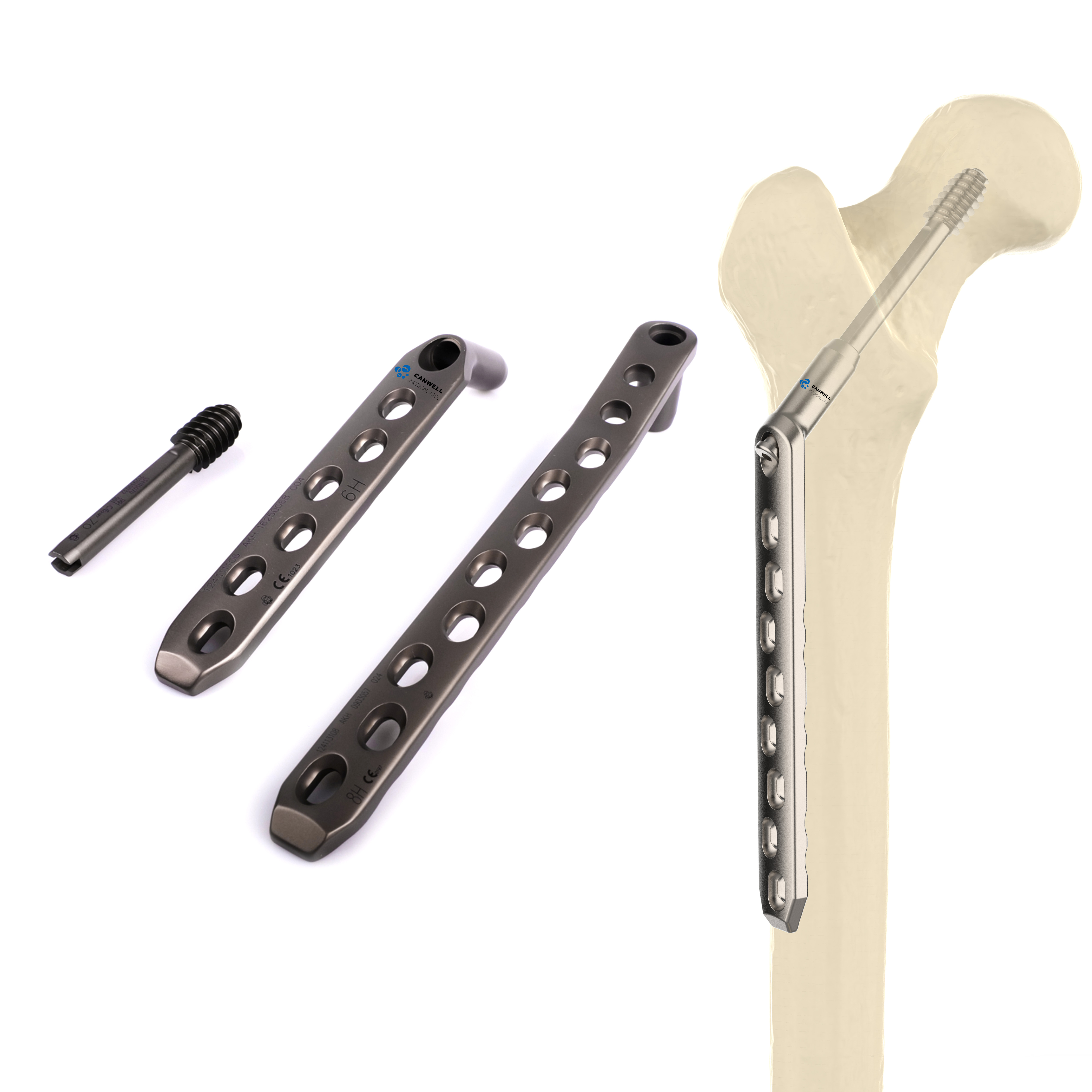 Canwell DHS Barrel Plate 135 Degree DHS Plate Dynamic Hip Screw DHS DCS Lag Screw Proximal Femoral Fracture Plate