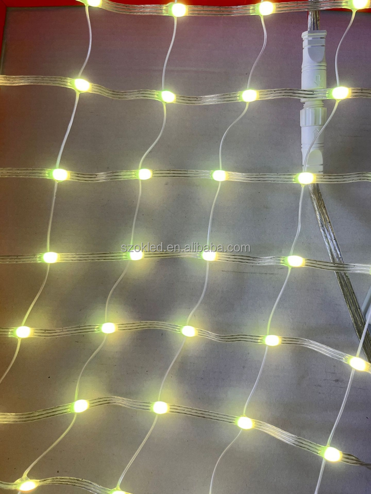 Grid Image 6