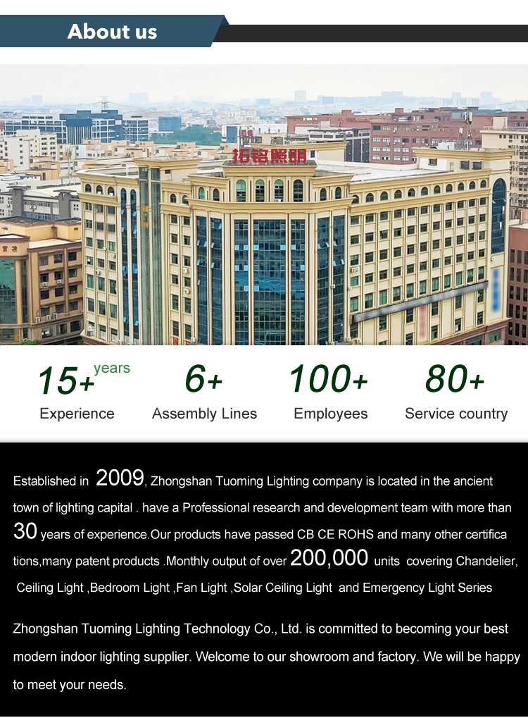 Company Info 1
