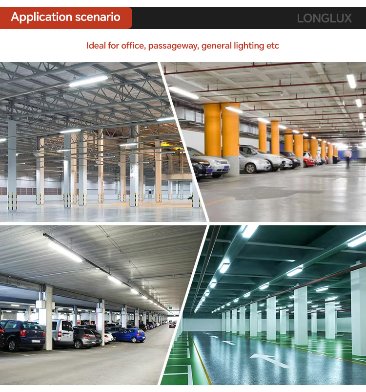 Application Image 1