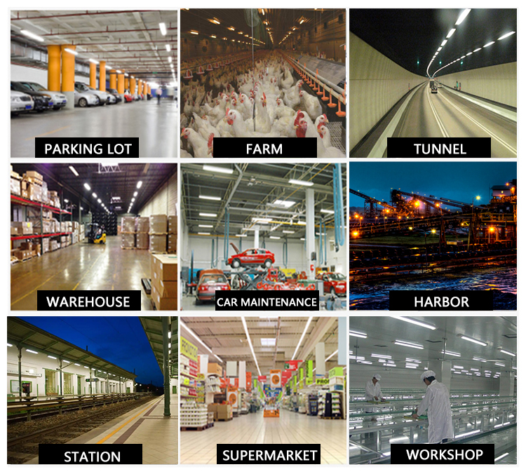 T8 IP65 Light 2FT/4FT/5FT PC Triproof LED Outdoor or Indoor Moisture Proof Lighting Fixture