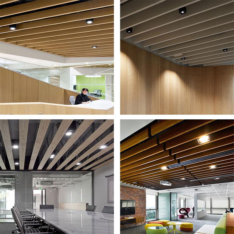 LED Square Tube Dedicated Canopy Light Single Double-Head COB Commercial Store Aluminum Ceiling Grille Bold Downlight 4000K