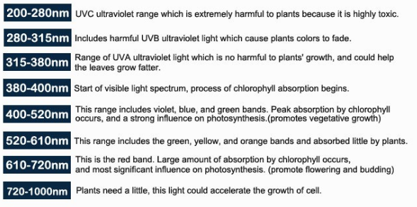 Wavelength Chart 1