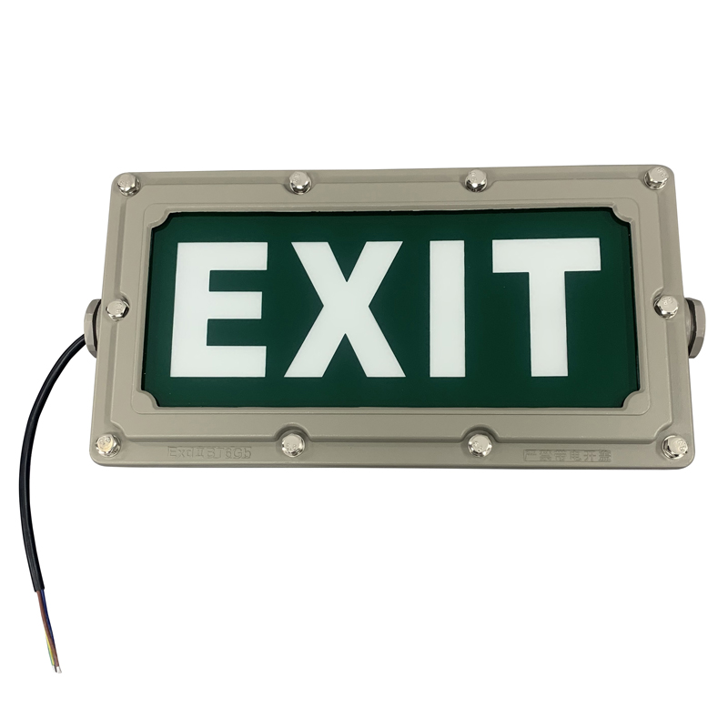 Explosion Proof Emergency Light Front View