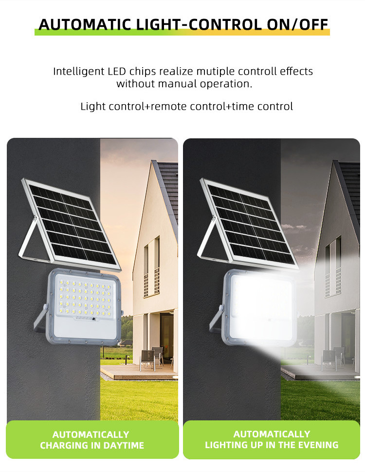 Solar Flood Light Detail 5