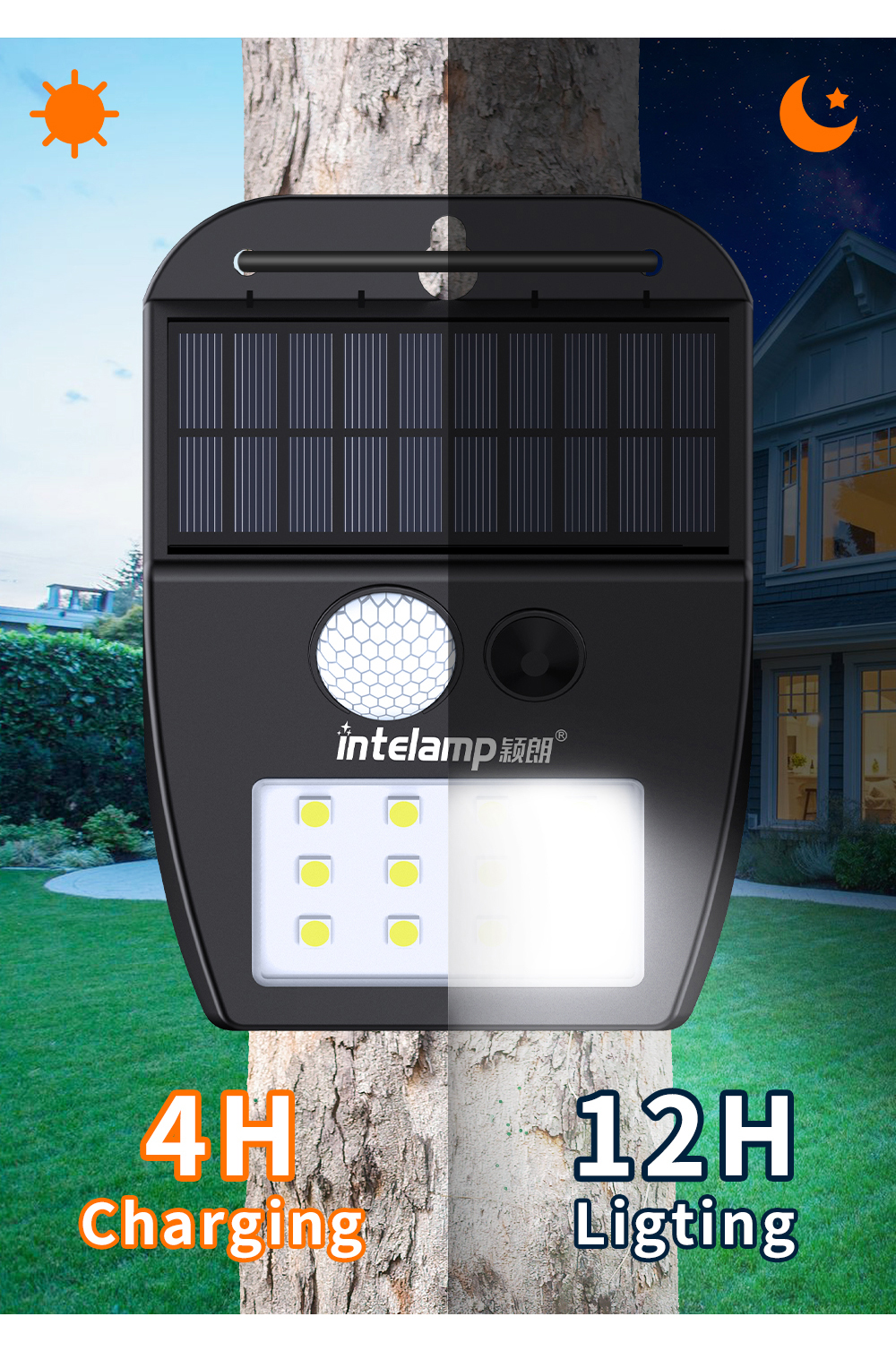 Solar Light Showcase 5