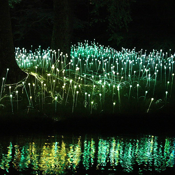LED Outdoor Landscape Solar Garden Light with Fiber Optic Spike Ball &amp; Transparent Flower Light IP68 Rating