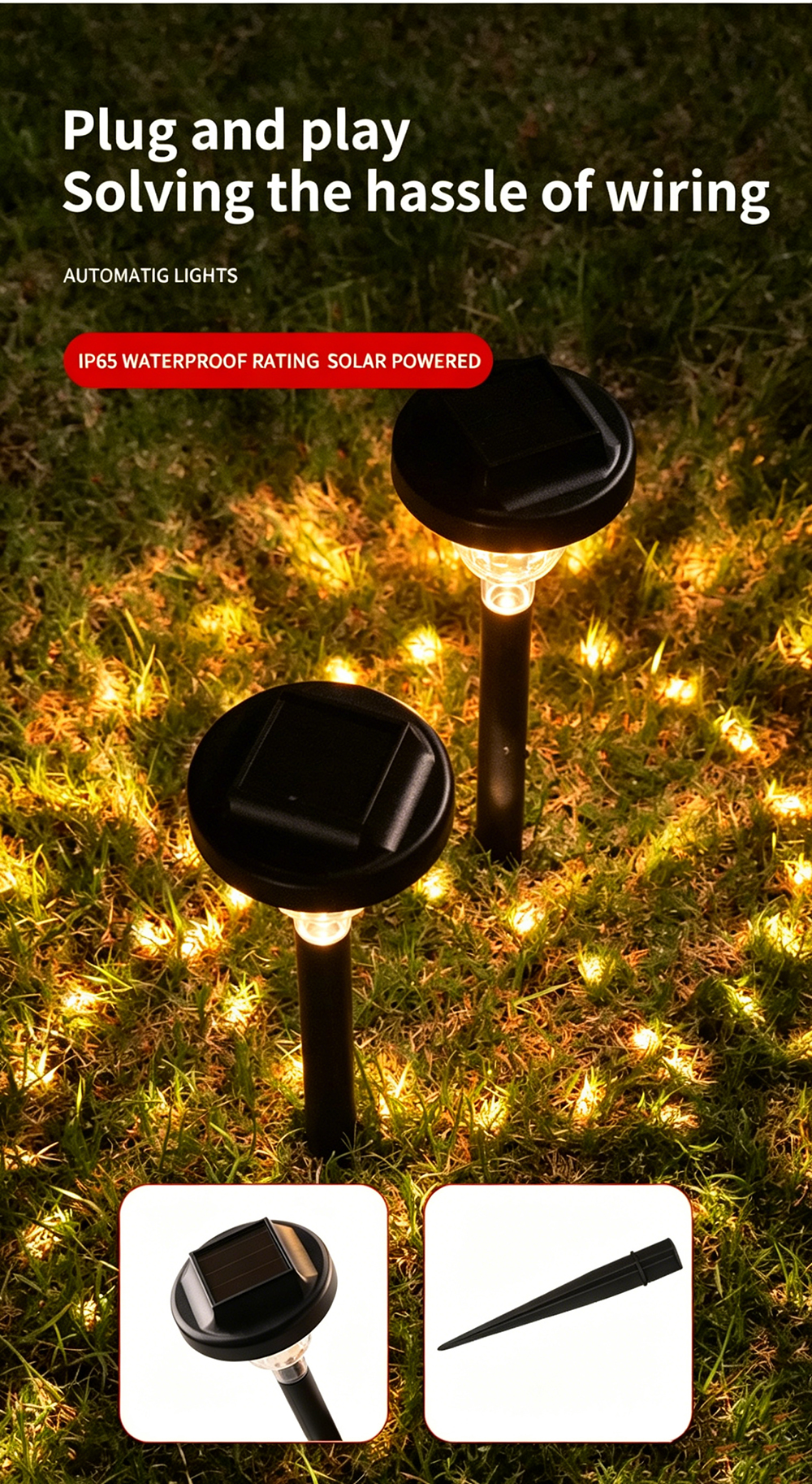 Solar Garden Path Lights Night View
