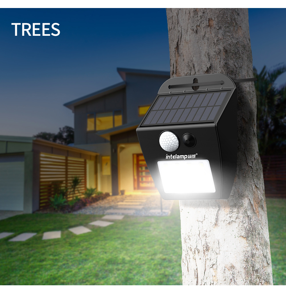 Solar Light Showcase 4
