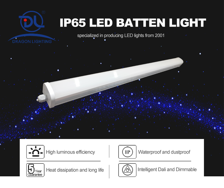 Latest Design Led Explosion-proof Waterproof Dust Ip65 Led Batten Light Tri-proof Light