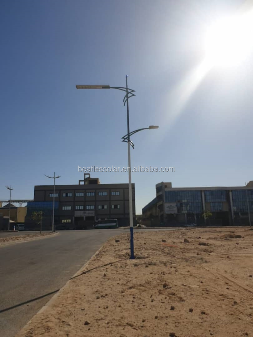 Solar Street Light Project Installation 4