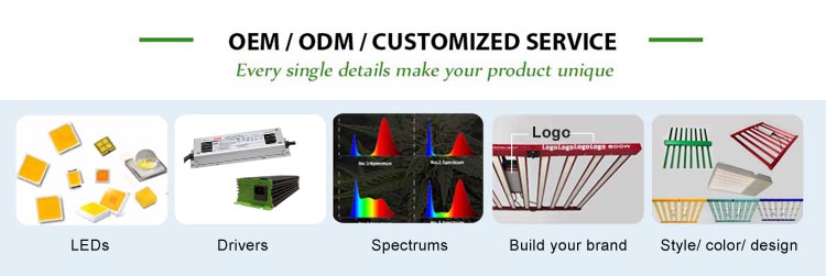 Commercial Growing Application 1
