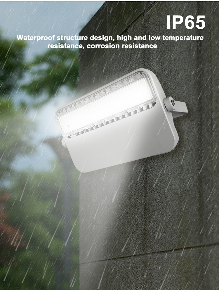 Flood Light Detail 3