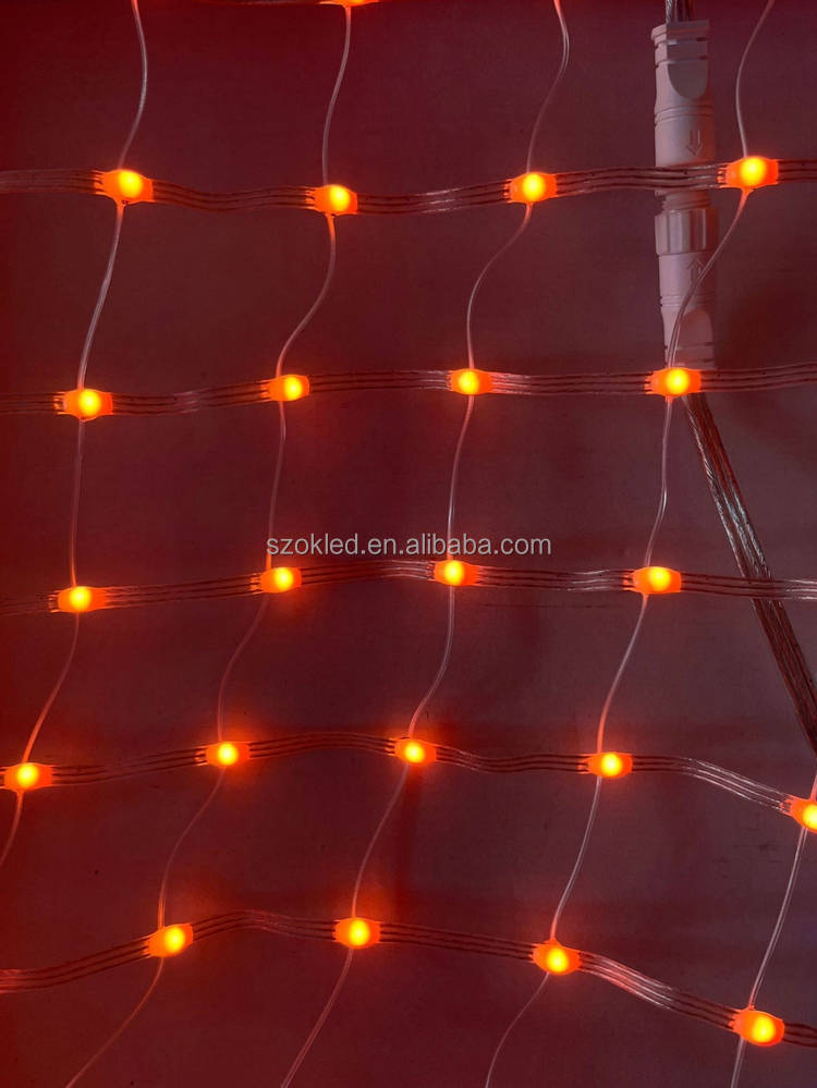 Grid Image 8