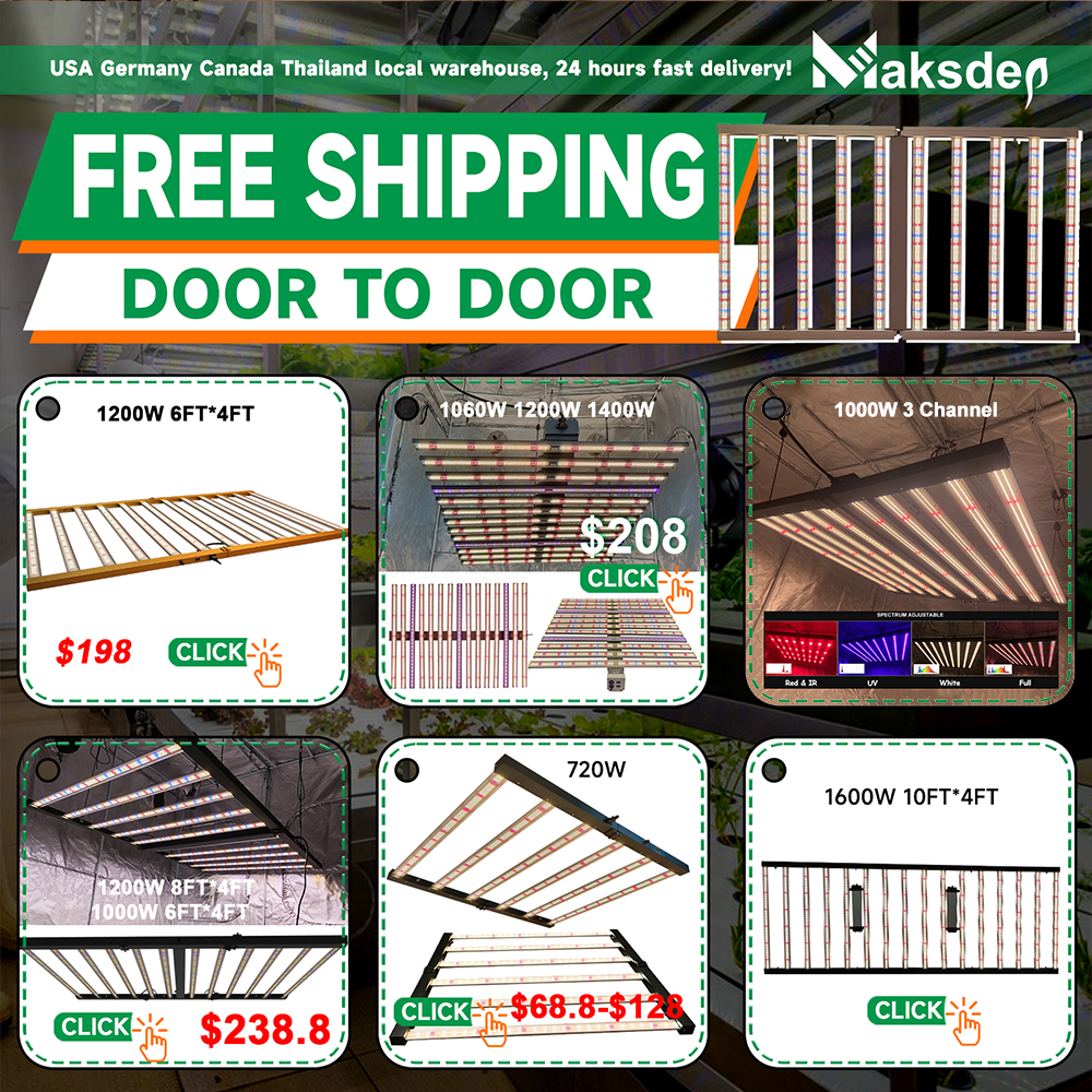 Warehouse and Fast Shipping Network