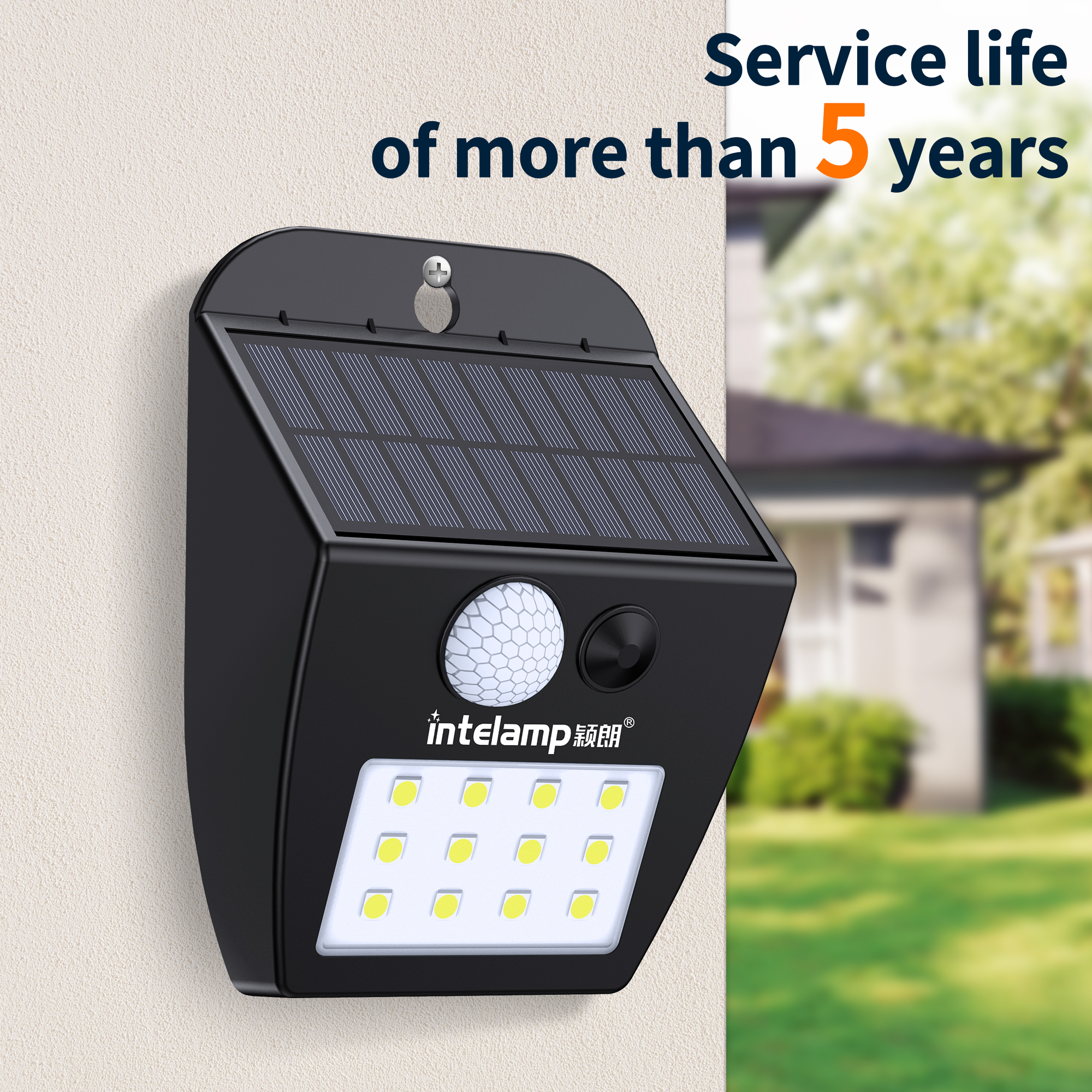 Solar Outdoor Wall Security Light