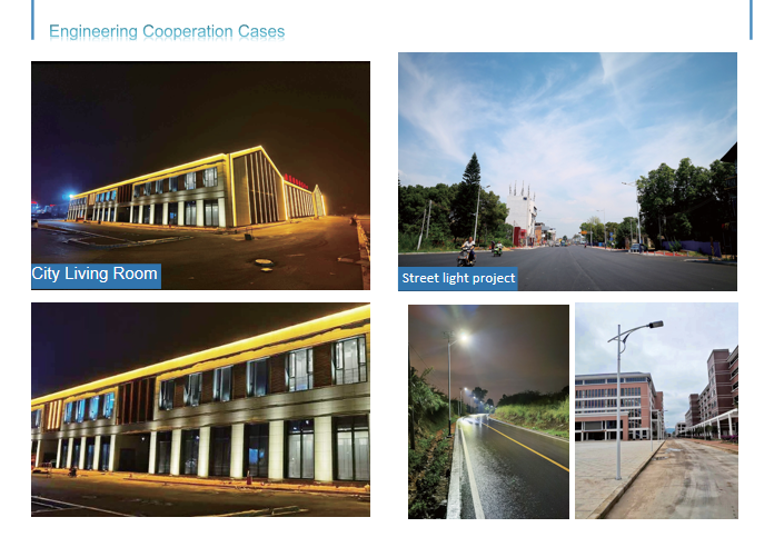 Cooperation Case 4