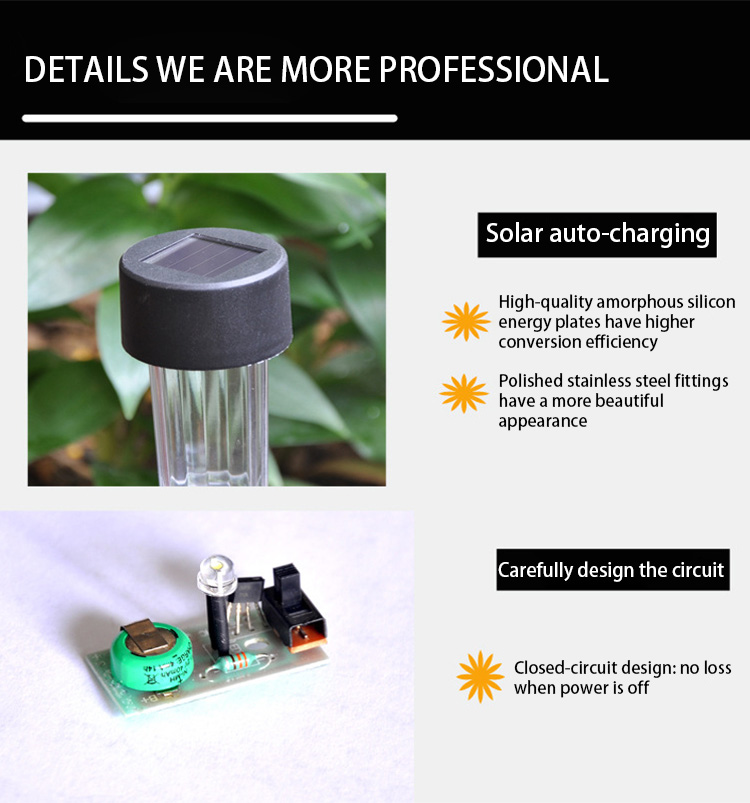 Solar Lighting Product Showcase 3