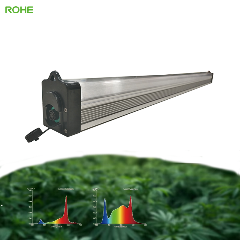 ROHE Cheap 120W LED Under Canopy Full Spectrum More Red Grow LED Under Canopy Light