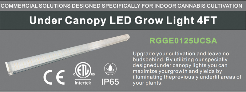 Led Grow Light Detail 1