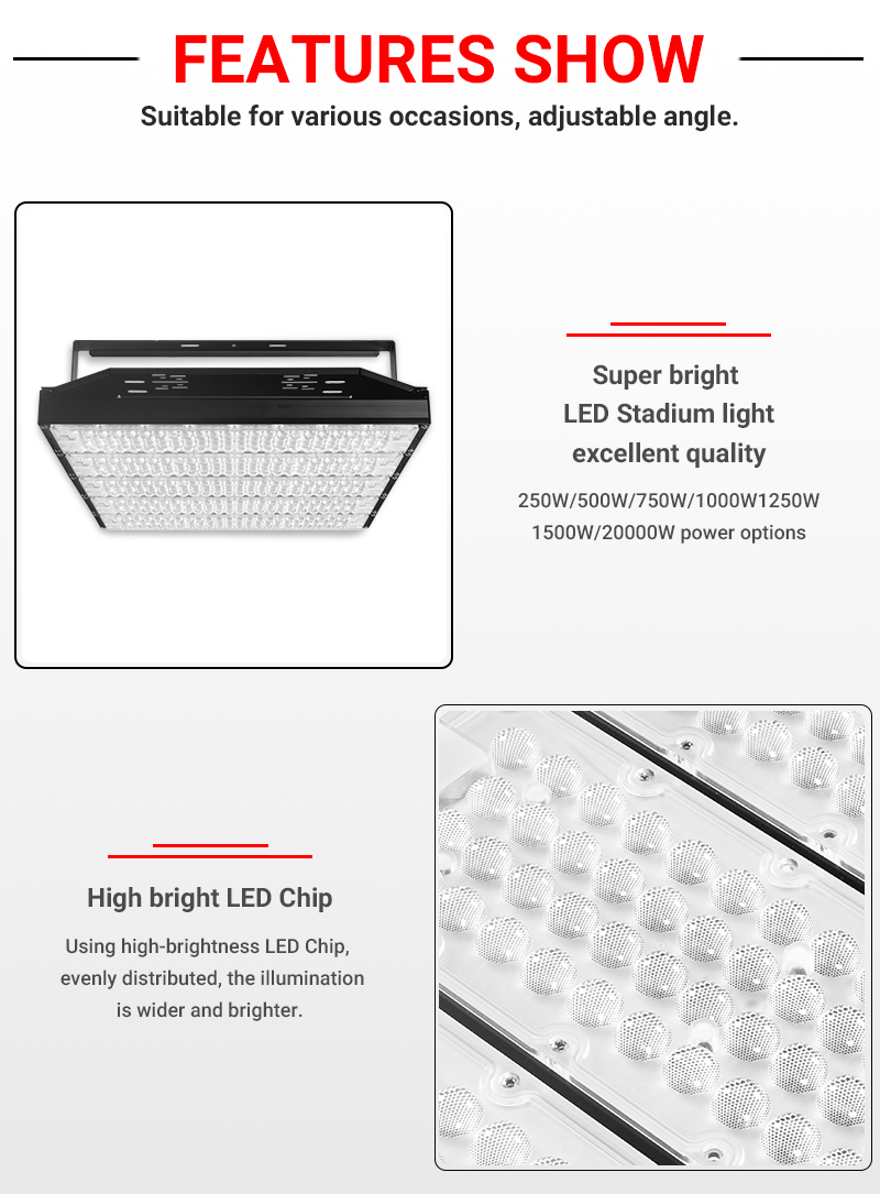 LED Floodlight 8