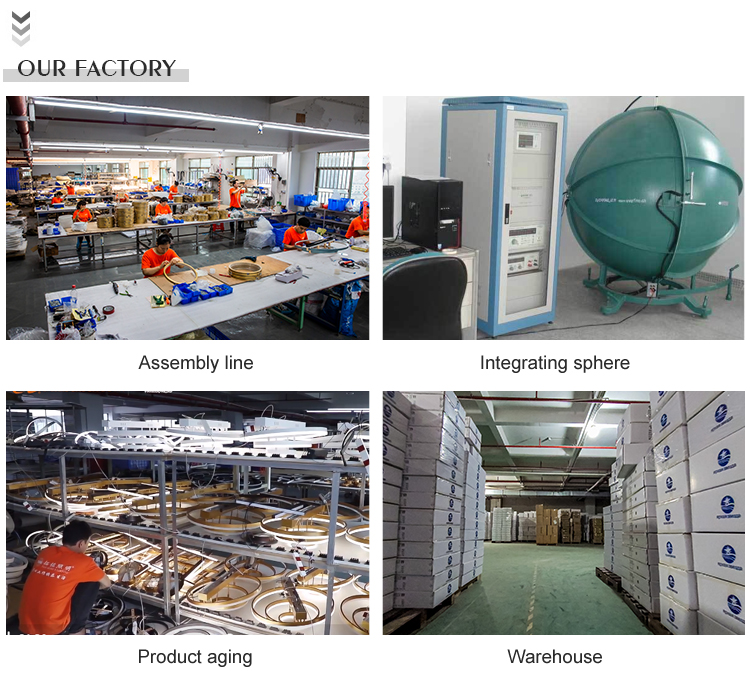 Company Info 3