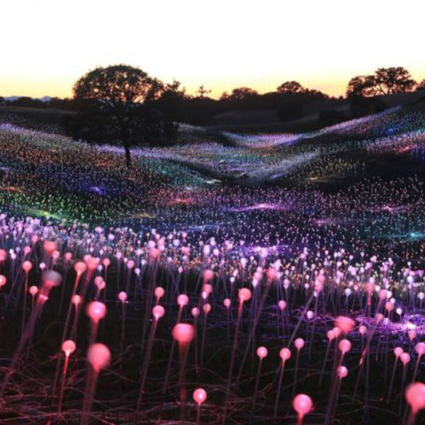 LED Outdoor Landscape Solar Garden Light with Fiber Optic Spike Ball &amp; Transparent Flower Light IP68 Rating